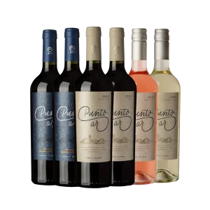 MIx de 6 botellas de la marca Punto Ar