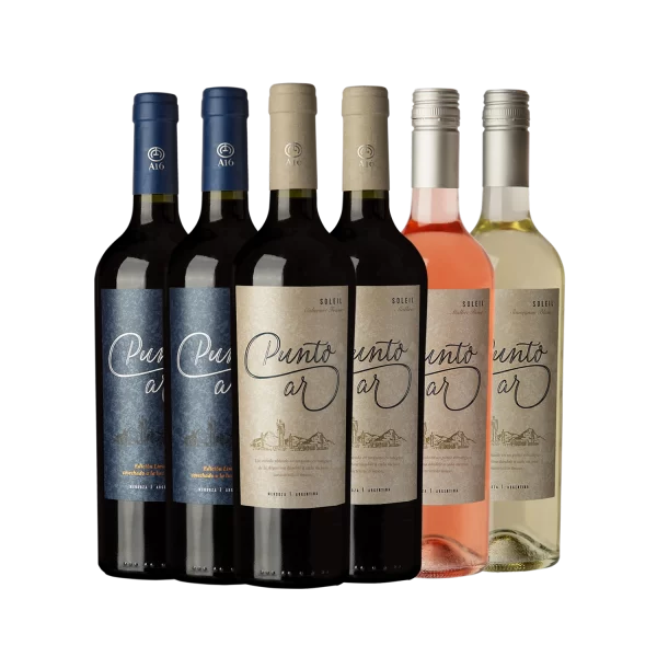 MIx de 6 botellas de la marca Punto Ar