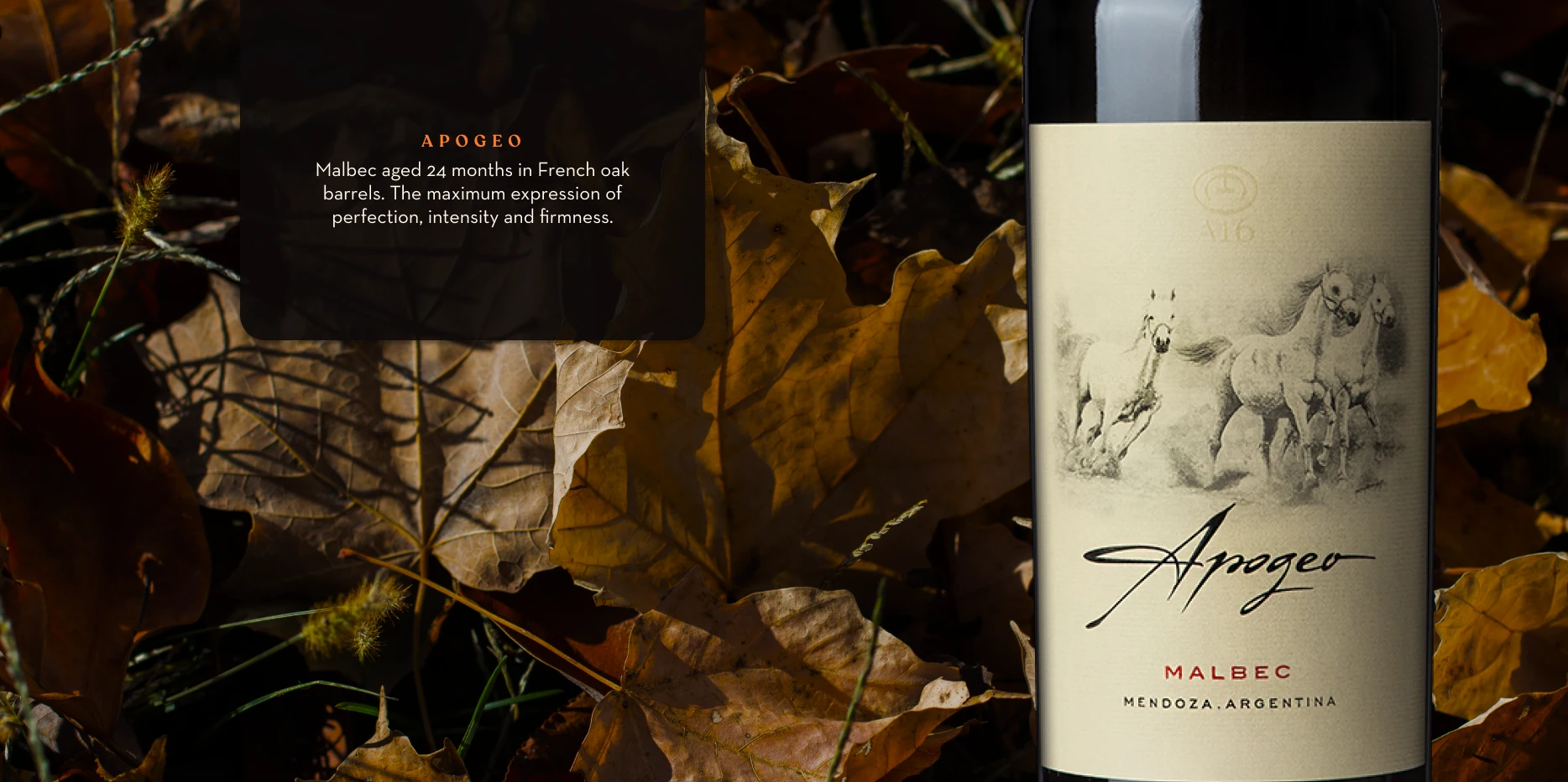 Botella de Apogeo, junto al texto "Malbec aged 24 months in French oak barrels. The maximum expression of perfection, intensity and firmness", con un fondo oscuro de hojas secas