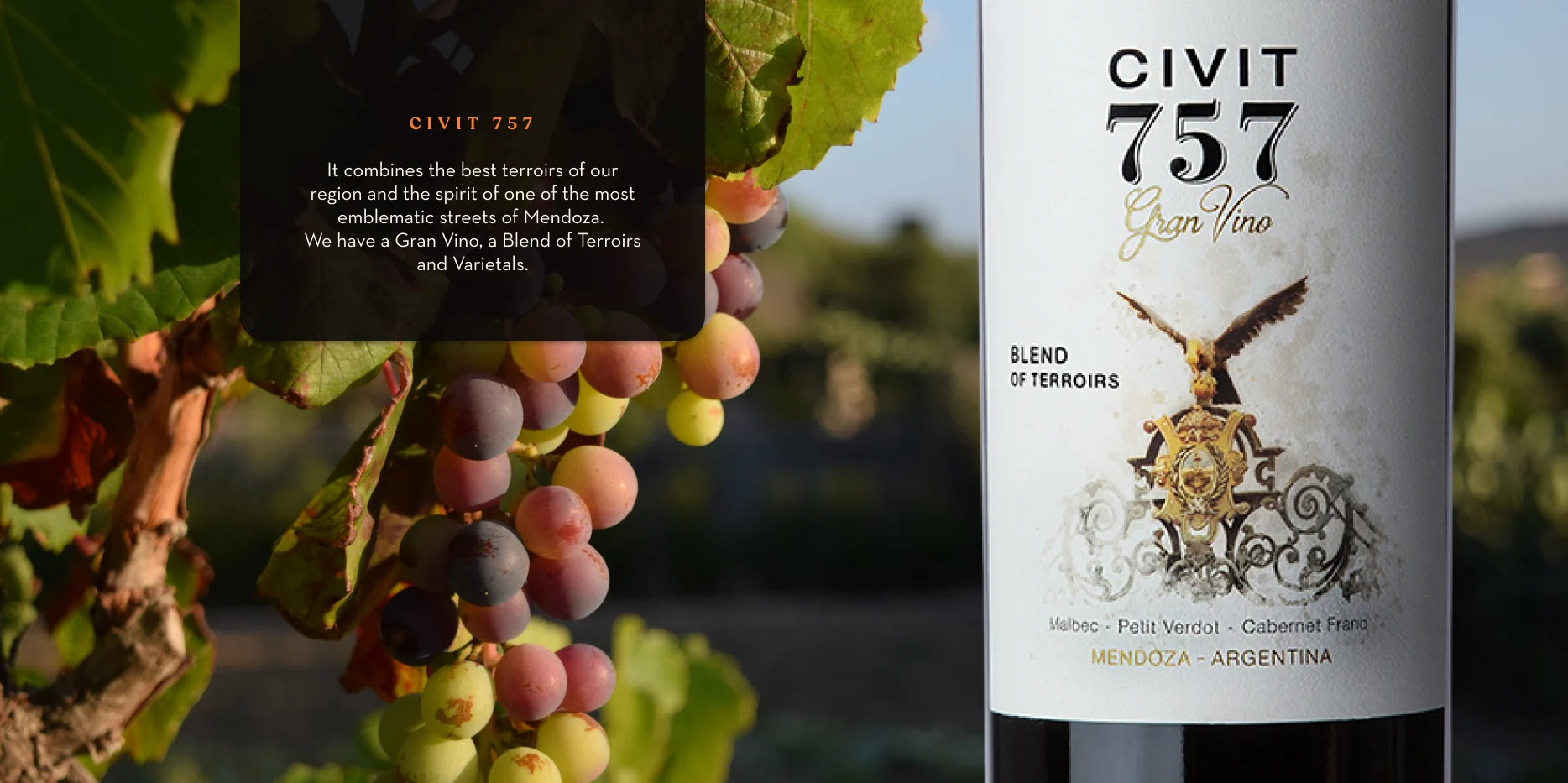 Botella de vino marca Civit 757, junto al texto "It combines the best terroirs of our region and the spirit of one of the most emblematic streets of Mendoza. We have a Gran Vino, a Blend of Terroirs and Varietals", teniendo de fondo un primero plano de un racimo de uvas en la viña.