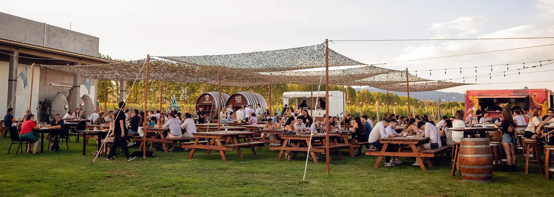 People in a sunset party